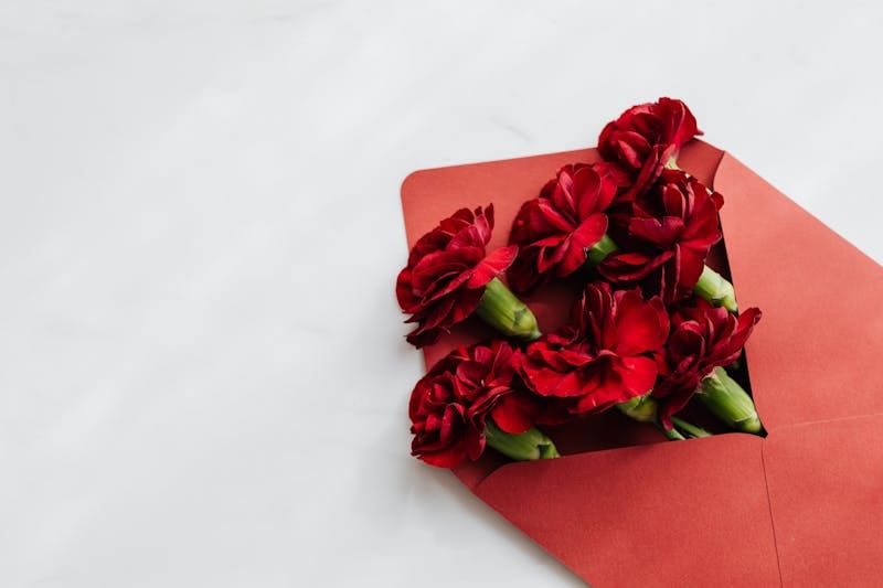 Elegant red carnations elegantly arranged in a red envelope on a pristine white surface, ideal for romantic occasions.